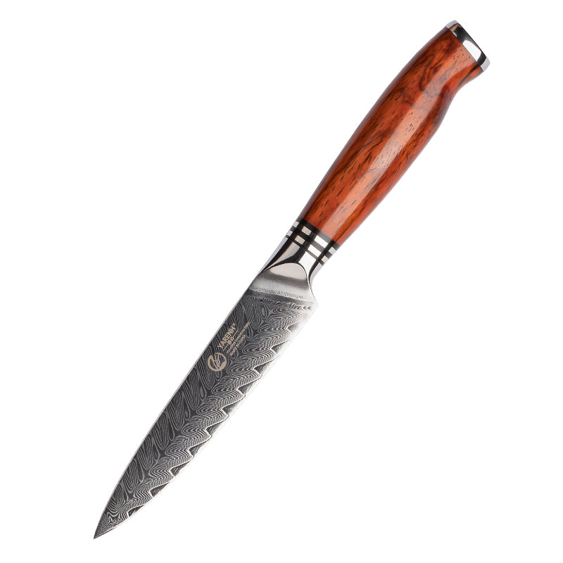 Damascus Steel Knife Professional Fruit Cutter